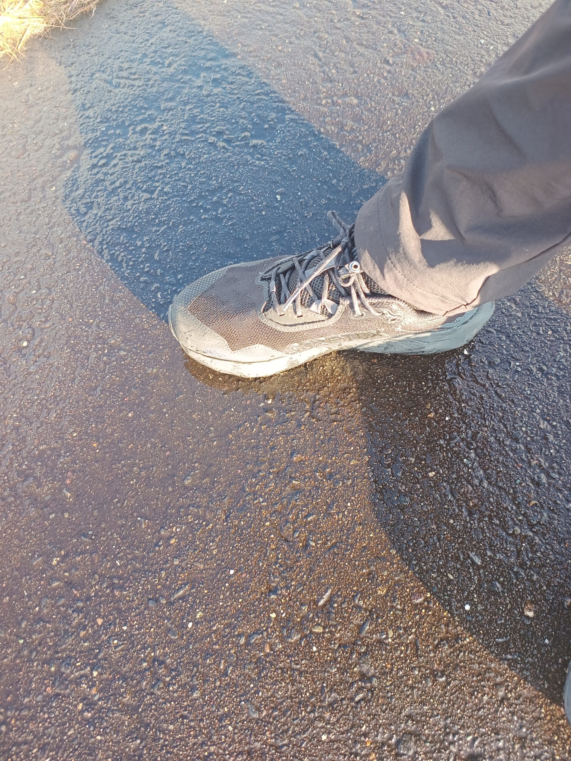 NewBalance DynaSoft Nitrel v6 GTX 200km使用後の状態