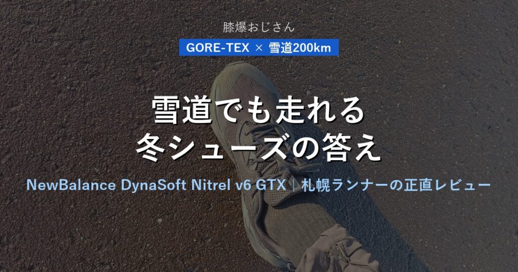 NewBalance DynaSoft Nitrel v6 GTX｜雪道ランニングレビュー