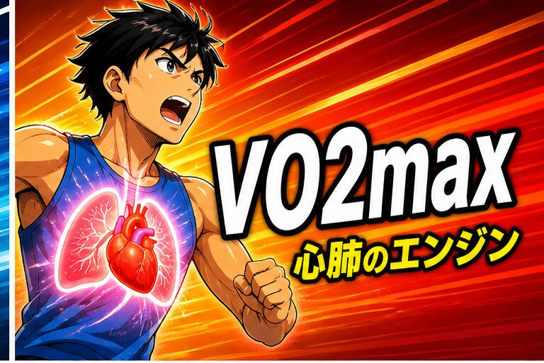 VO2max 心肺のエンジン イラスト