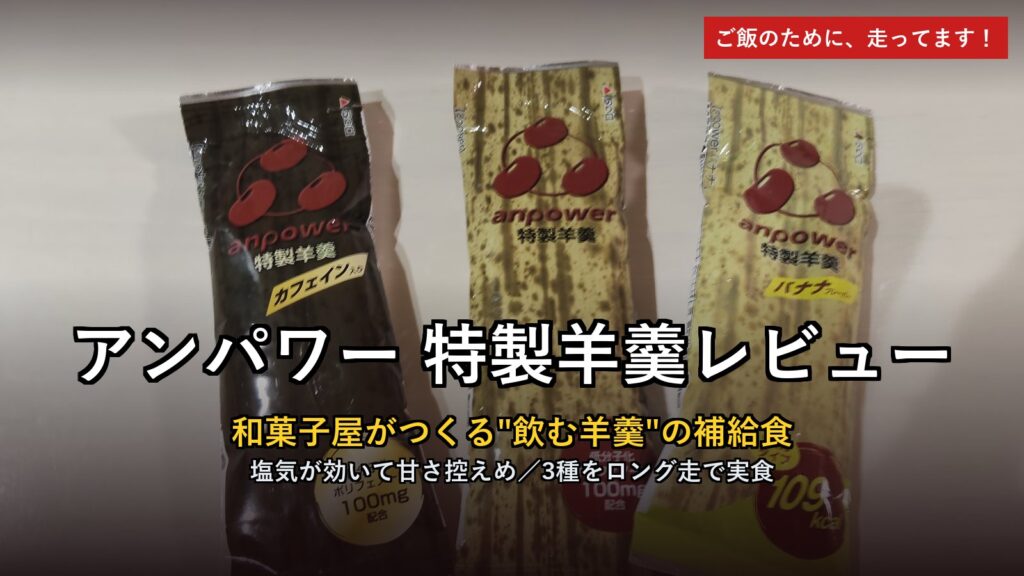 アンパワー特製羊羹レビュー アイキャッチ