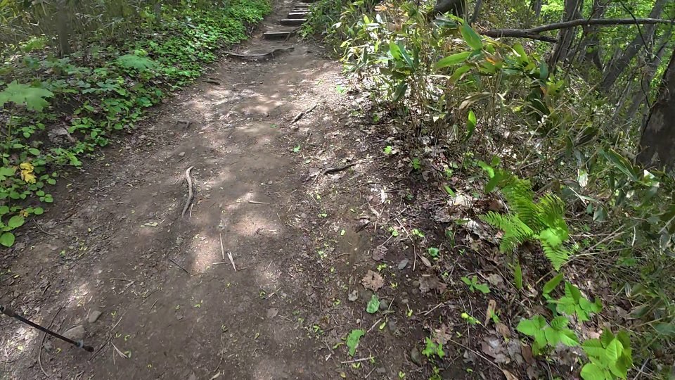 藻岩山の山道 急登シーン
