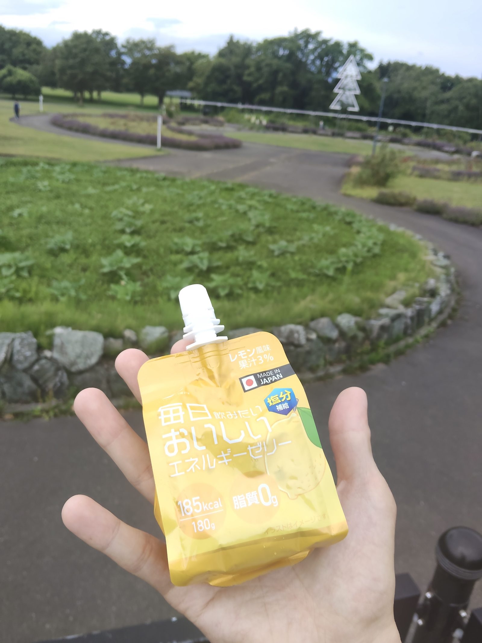 手に持ったアルペンのエネルギーゼリー。180gとやや大きめ