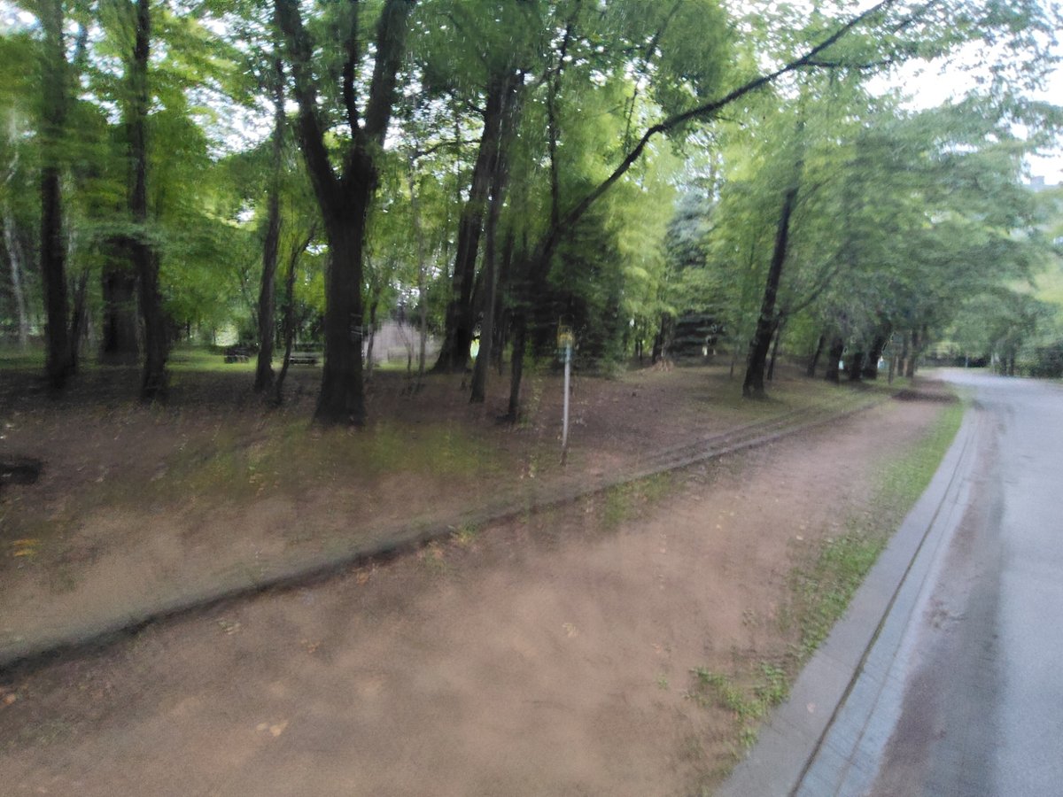中島公園ランニングコースの250m距離表示