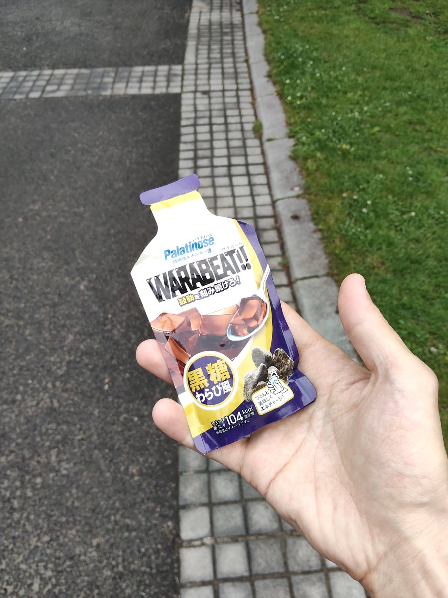 走りながら手に持ったワラビート。手のひらサイズ