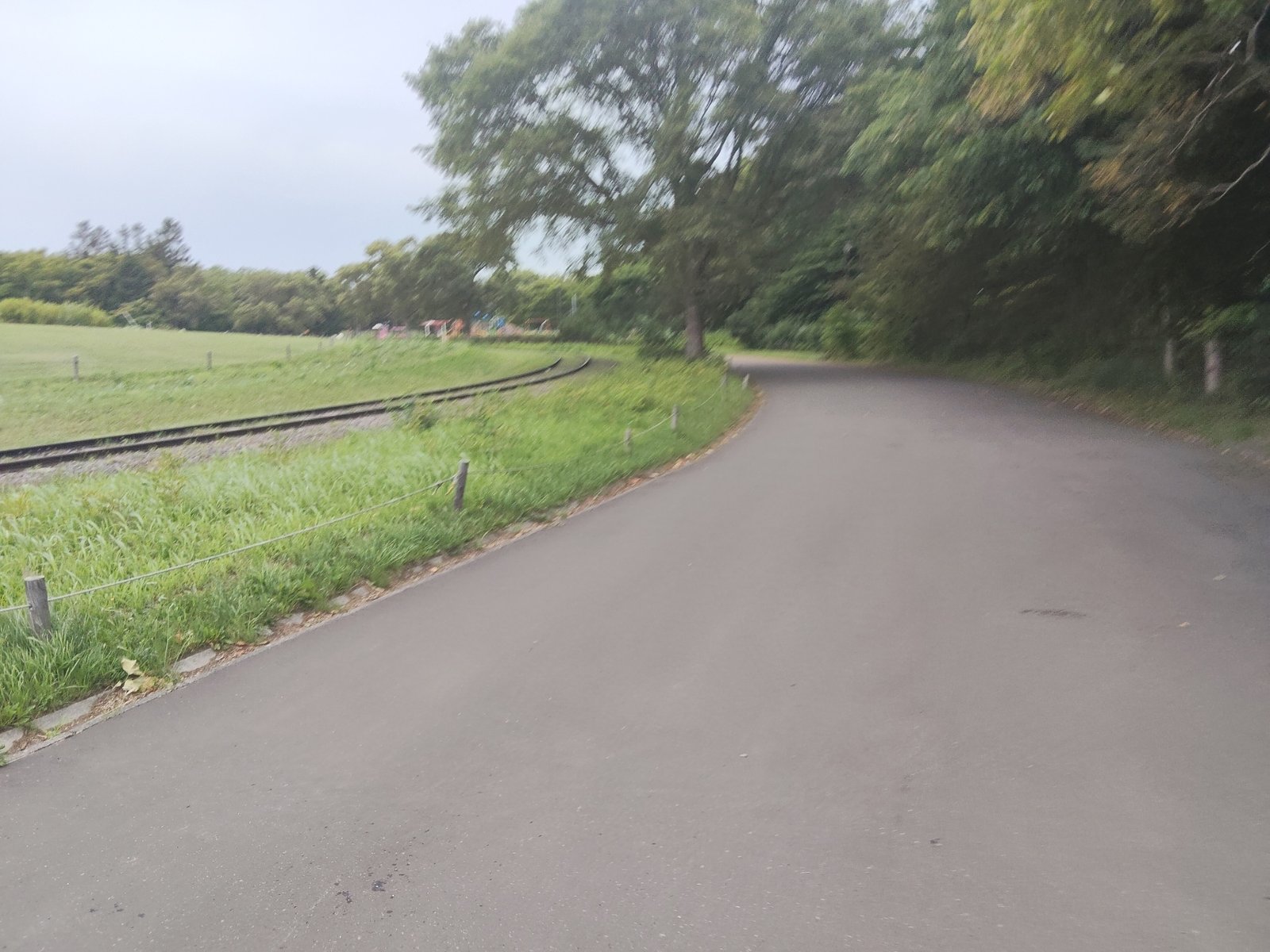 百合が原公園の周回コースとリリートレインの線路が並走する区間