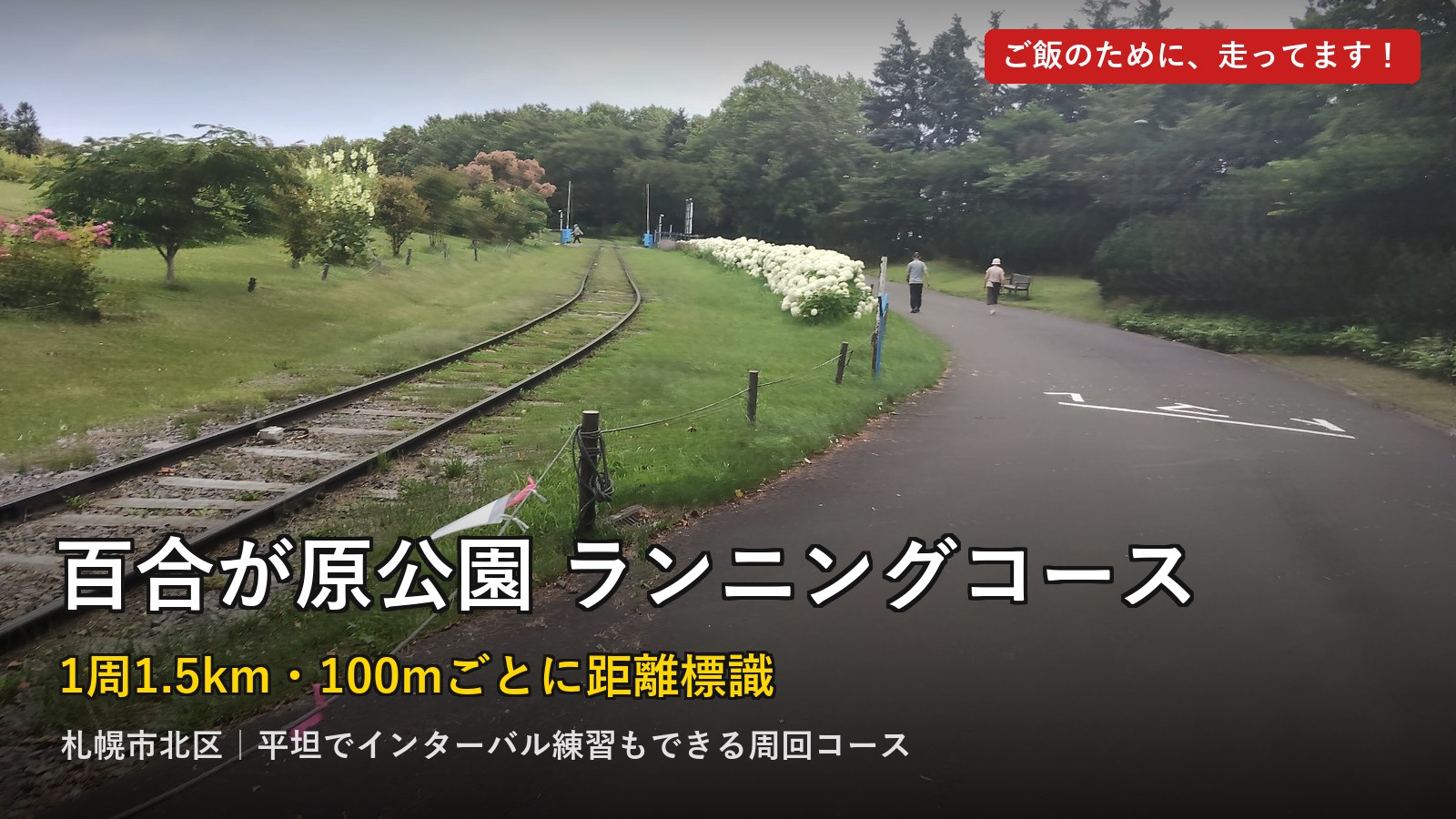 百合が原公園ランニングコースレビューのアイキャッチ