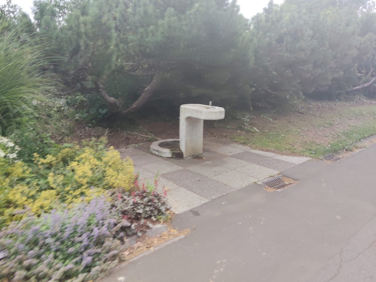 コース沿いの水飲み場