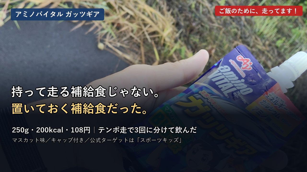 アミノバイタル ガッツギア マスカット味を手に持ったところ
