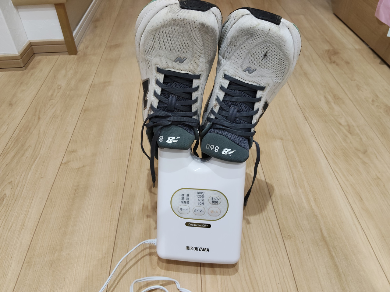 立てたノズルに、ニューバランス 860 v15をかぶせたところ