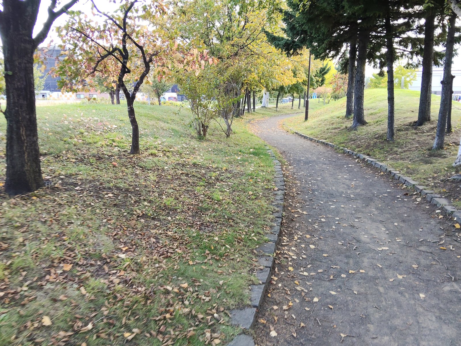 砂利が混じった路面の周回路