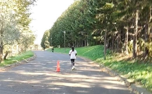 林の横を通るコース。舗装された平らな道